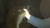 2011-11-12_22-51-19_393.jpg