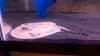2011-11-16_17-28-43_427.jpg