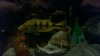 2011-11-17_19-42-18_177.jpg
