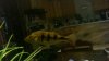 2011-11-18_09-43-06_676.jpg