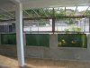 Image00015.jpg