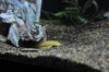 DSC_8643.JPG
