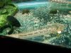 DSCN0509.JPG
