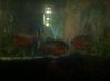 IMG_0762.JPG IMG_0762.JPG