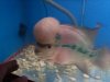 lllllllll.jpg