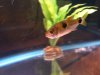 Picture 172.jpg