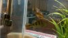 2011-11-30_19-09-52_385.jpg