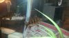 2011-11-30_19-11-35_166.jpg