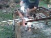 IMG00020-20100428-1706.jpg