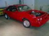 Stang4.jpg