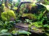 5-29-10#4.jpg