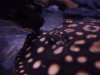 100_9006.JPG