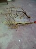 Upper San Gabriel Valley-20111204-00100.jpg
