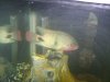 DSC01670.JPG