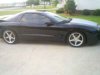 Trans am3.jpg