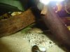 DSC06286.jpg