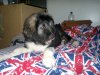 11122011172.jpg