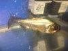 IMG-20111211-00318.jpg