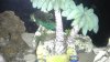 IMAG0371.jpg
