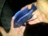 IMG-20111221-00175.jpg