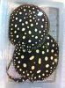 IMG-20111220-WA0001.jpg