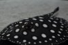 IMG-20111221-WA0002.jpg