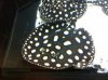 IMG-20111221-WA0003.jpg