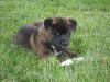 DSCN1641.JPG