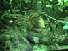 FishFun 043.jpg
