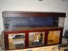 freshwater tank pic 001.jpg freshwater tank pic 001.jpg