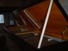 freshwater tank pic 003.jpg