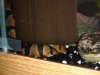 DSC00922.jpg