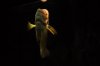 DSC_0066.JPG