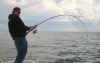 bass2012.png