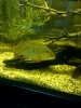 IMG-20120104-00156.jpg