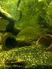 IMG-20120104-00157.jpg