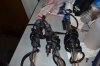 DSC_1236.JPG