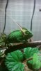 IMAG0109.jpg