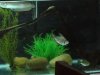 DSC00372.JPG