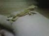 IMG00142-20120110-2228.jpg
