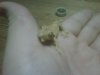 IMG00144-20120110-2229.jpg