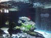 100_0583.JPG