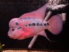 IMG_20120110_192101.jpg