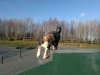 11012012260.jpg