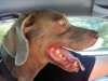 downsized_0724001419.jpg