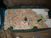 DSCN2291.JPG