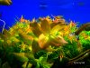 100_3282-1.JPG
