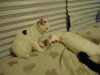 DSC06528.jpg