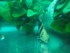 DSC01567.JPG