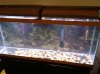 IMG_0076.JPG IMG_0076.JPG
